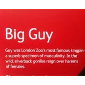 Guy Burgoyne's photo