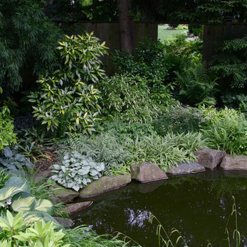 Pond