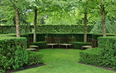 Grow Your Own Privacy: How to Screen With Plants and Trees