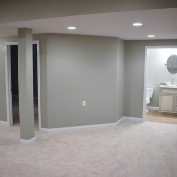 Basement - With Custom Bathroom and Shower