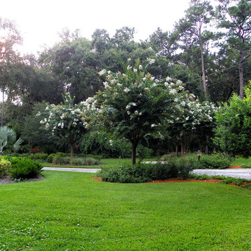 Holly Oaks Project