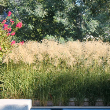 Mi Jardín