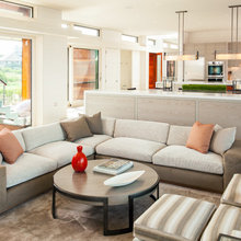 Brown Couch