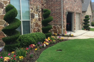 McKinney front yard landscaping