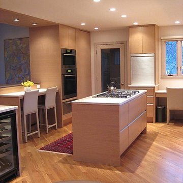 Swampscott Contemporary