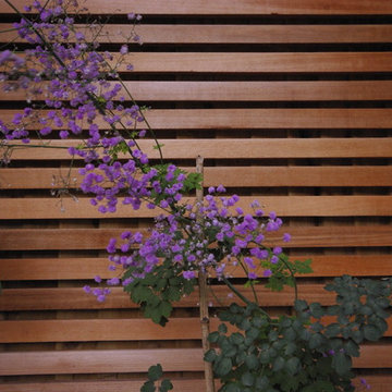 Courtyard garden for a victorian house