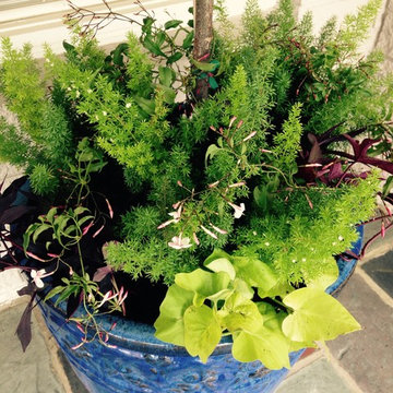 Container Gardens