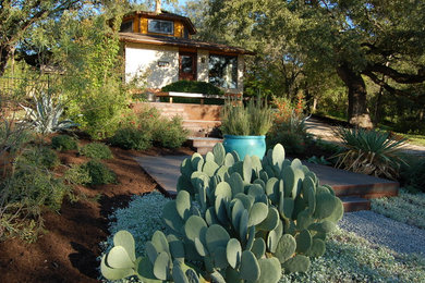 Photo of a contemporary landscaping in Austin.
