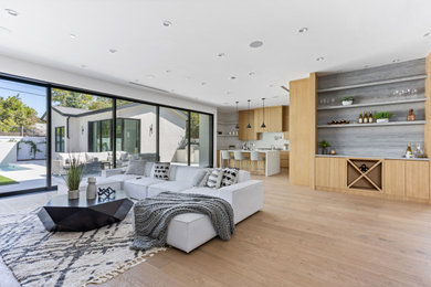 Living room - modern living room idea in Los Angeles