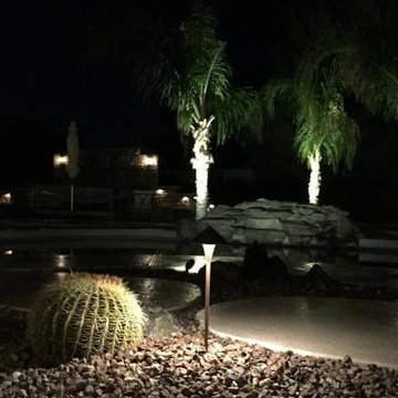 Desert Landscaping