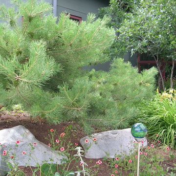 Garden Maintenance
