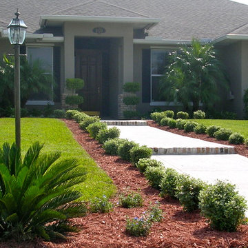 Front Yard/Back Yard/Pool Landscapes