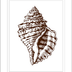 Chocolate Conch Shell - Artwork