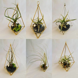Hanging Pendants - Indoor Pots And Planters