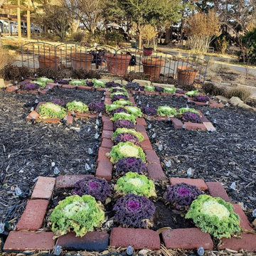 Campus Greenhouse Projects