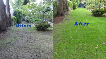Before And After Thatching and Aerating