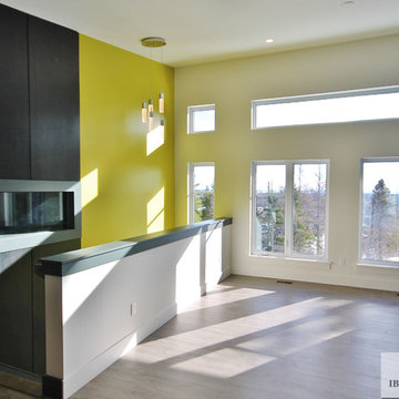 Modern style home
