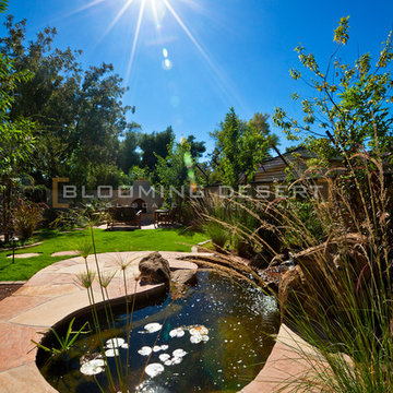 Water Features