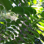 Maggie McMonagle's photo