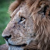 Brad Jennings's photo