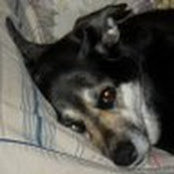 Nicole Verity's photo