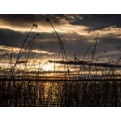 Jessica Wynder's photo