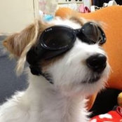 Makoto Katou's photo