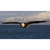 Shirley Wills-Lenhart's photo