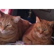 Gale Hoefle's photo