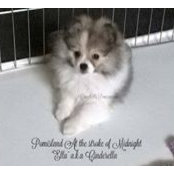 Angela Barlow's photo