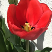 Camila Meier's photo