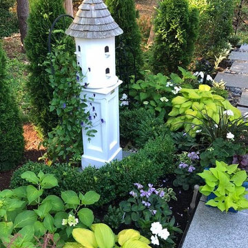 July Vignettes