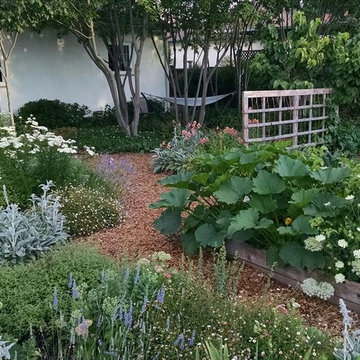 Now Garden Demonstration Garden, Concord