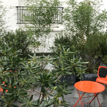 Une terrasse verte derrière l'arc de triomphe