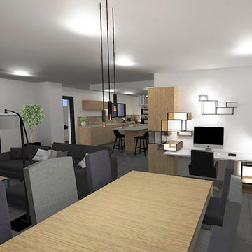 Projet de rénovation et d'extension d'une habitation existante