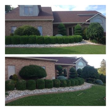 landscaping, shrub and hedge trimming