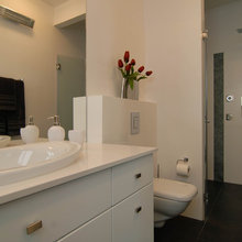 wall hung toilet