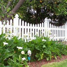 fences