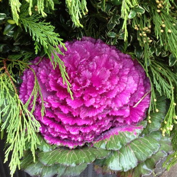 Container Gardens- Winter & Holiday Decor