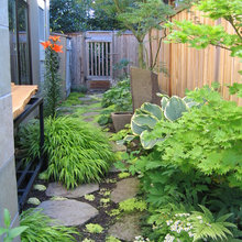 narrow side yard