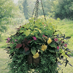 Euro Classic Medium Hanging Planter - Outdoor Decor