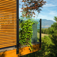 privacy wall