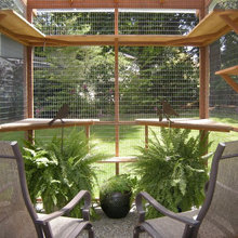 Catio