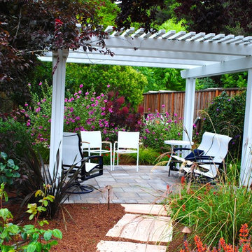 Belmont drought tolerant Cottage garden