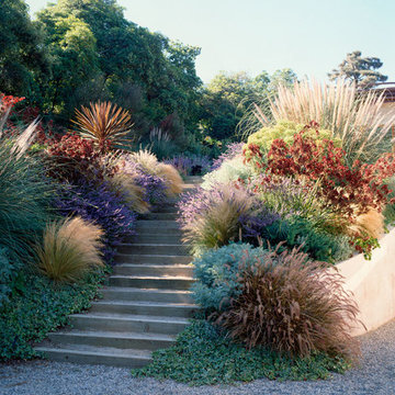 2015 Garden Dialogues: Hollywood Hills, Hollywood Hillside Residence, May 31