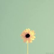 Stacie Madrigal's photo