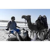 Andres Sanguineti's photo