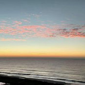 Cindy Isenhour's photo