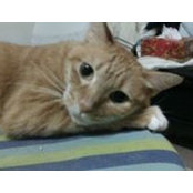 歐芳秀's photo