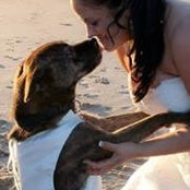 Brooke Batinic's photo
